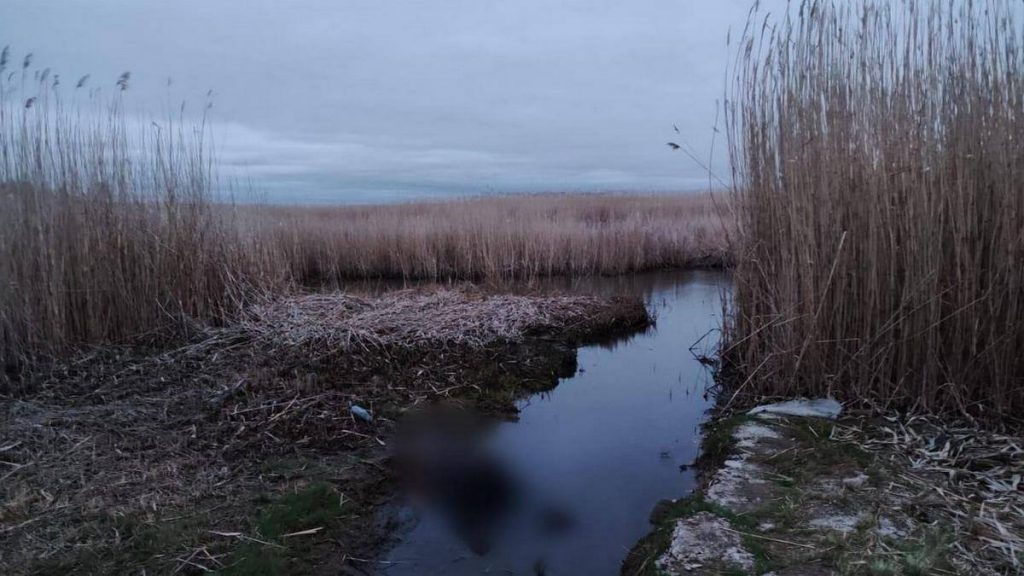 У Новомосковську на березі річки знайшли мертвого чоловіка
