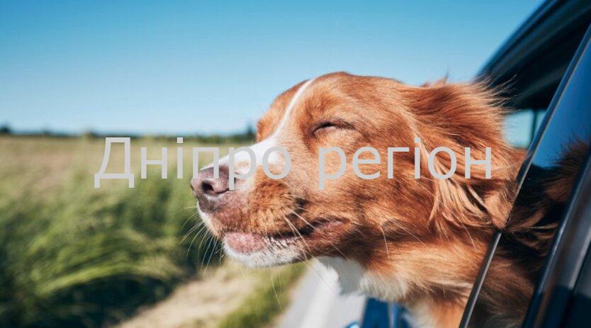 У Дніпрі найближчими днями похолодає: до чого готуватись У Дніпрі найближчими днями похолодає: до чого готуватись