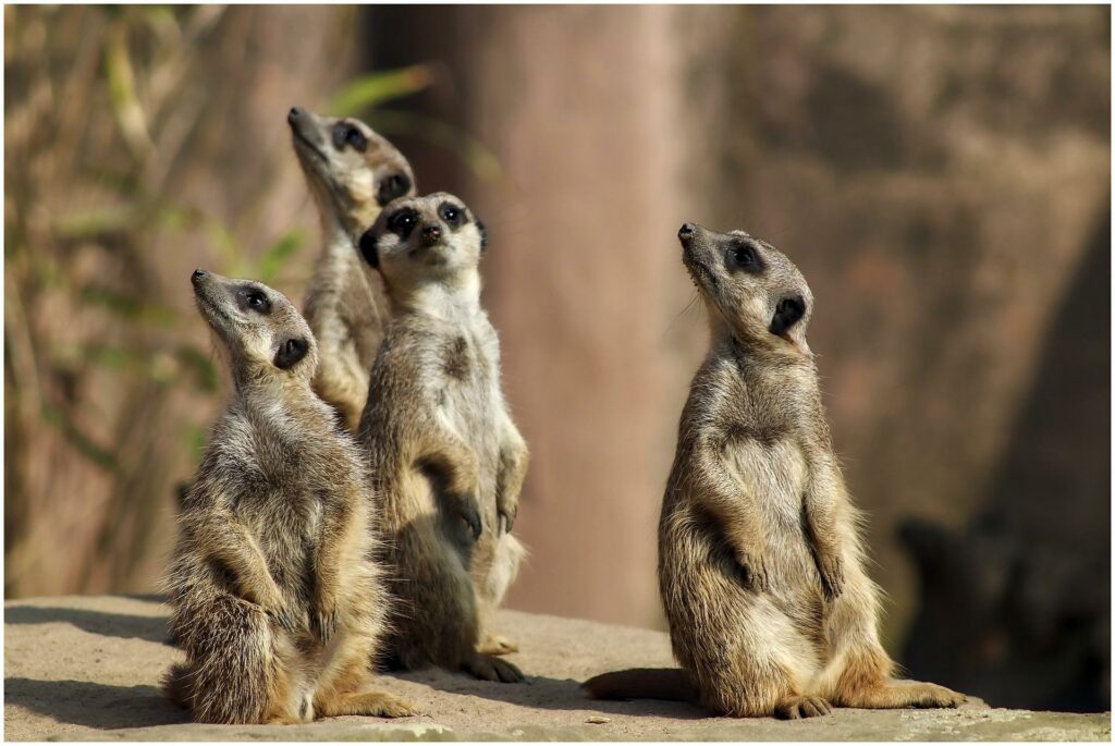 ТОП знаків зодіака, які пхають носа в чужі справи