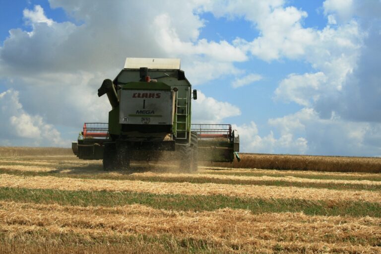 В Україні намолочено перший мільйон тонн зерна, — Мінагрополітики