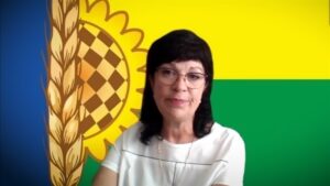 Обстріли, пошкоджені будинки, збір врожаю: ситуація у Широківській громаді