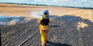 Через обстріл Криворізького району згоріло 50 га полів
