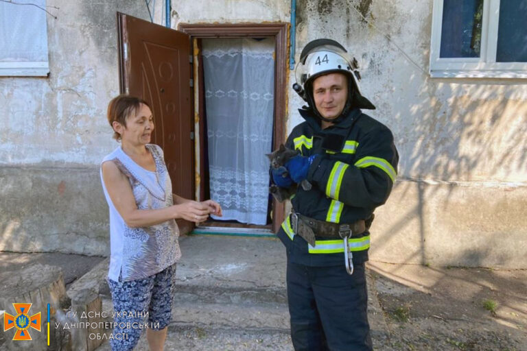Велике спасибі: на Дніпропетровщині рятувальники врятували кота
