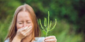 Нежить, чхання, сльозотеча: як розпізнати сезонну алергію та куди звертатись за допомогою мешканцям Дніпропетровщини