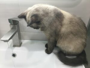 10 серпня у Дніпрі центр міста залишиться без води (адреси)