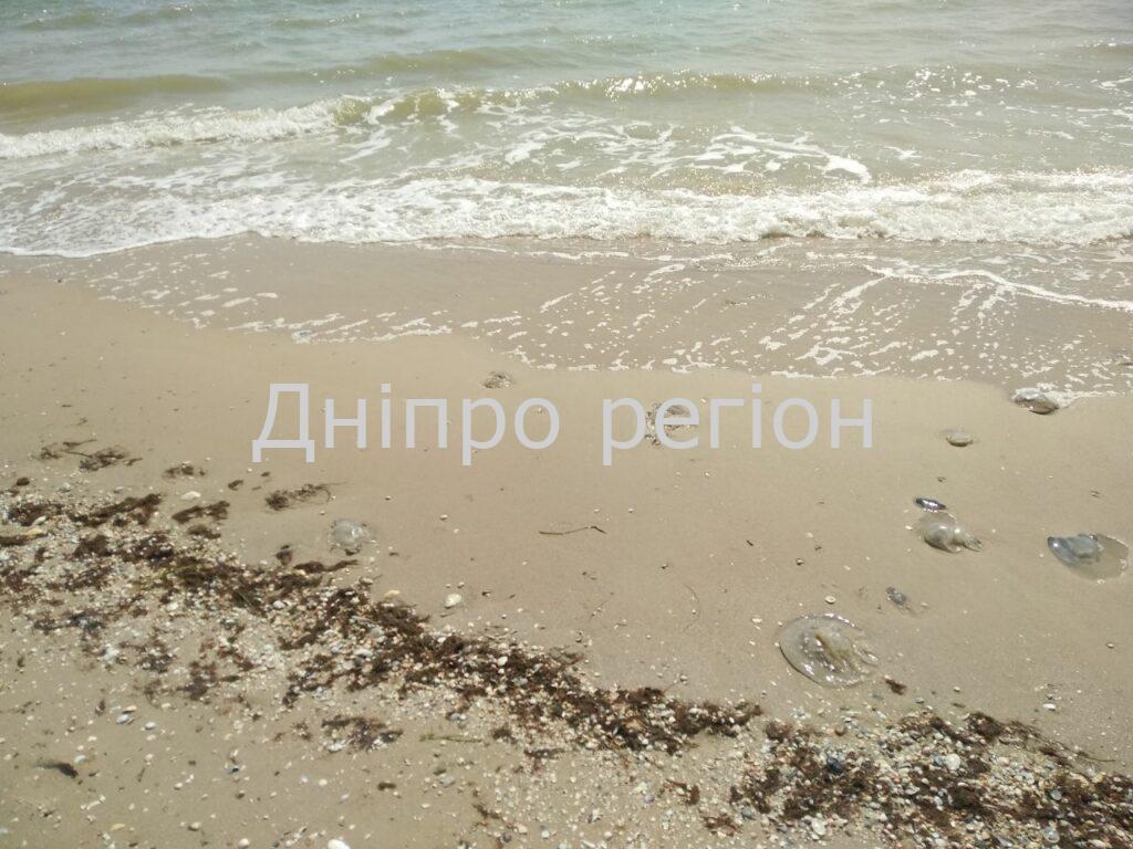 Кирилівка та Арабатська Стрілка 2022: Азовське море відпочиває і від людей, і від медуз Кирилловка пляж