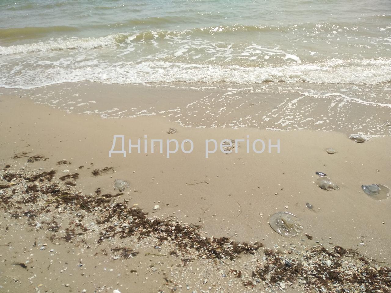 Кирилловка пляж