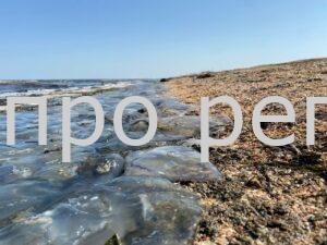 Арабатську Стрілку окупували медузи: море перетворилося на желе (Відео)