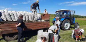 І це лише початок: під Дніпром у “Садах Перемоги” зібрали перші 15 тонн картоплі