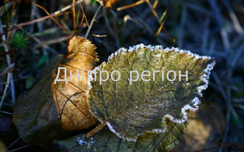 До України йдуть заморозки: коли і що чекати дніпрянам До України йдуть заморозки: коли і що чекати дніпрянам