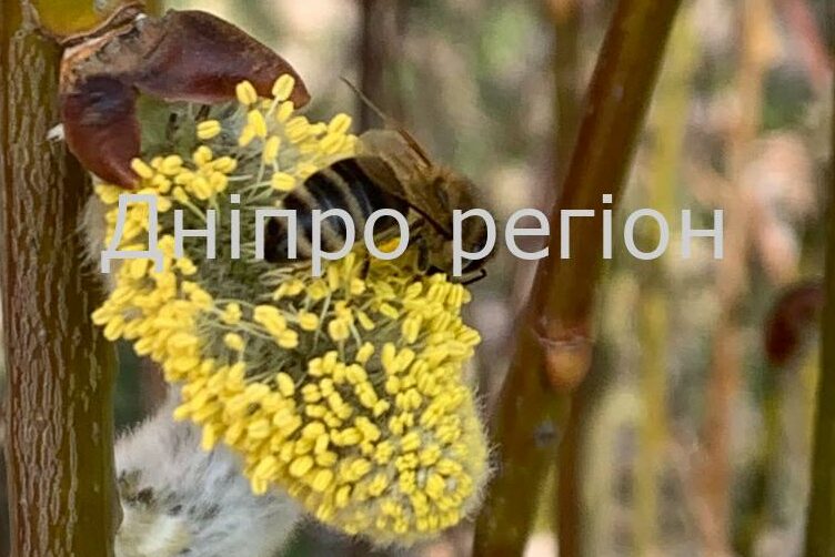 30 березня - Теплий Олексій: народні прикметита повірʹя в цей день