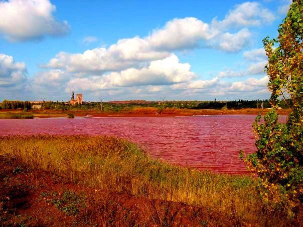 Диво природи чи жах екосистеми: що представляє собою Червоне озеро Кривбасу