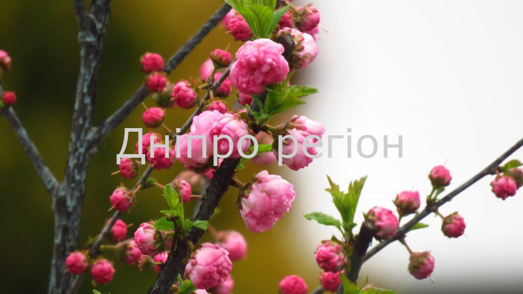 21 квітня день святих Іродіона та Руфа: що категорично заборонено робити, звичаї та прикмети цього дня