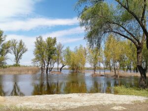 У Дніпрі фіксувалося підняття рівня води до небезпечних значень, – Гідрометцентр