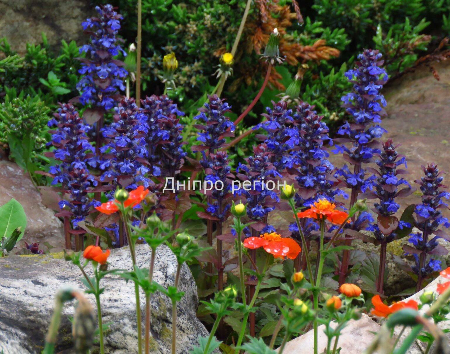 24 серпня – день Феодора і Василія: прикмети та заборони дня 24 серпня - день Феодора і Василія: прикмети та заборони дня