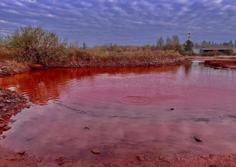 Диво природи чи жах екосистеми: що представляє собою Червоне озеро Кривбасу
