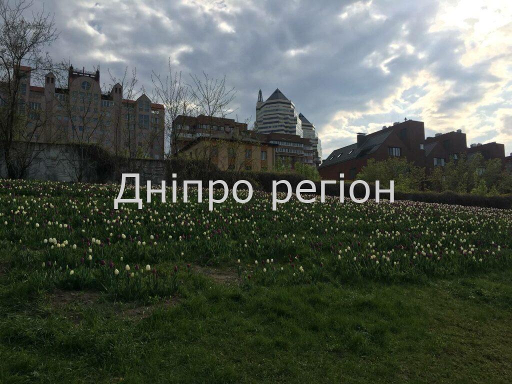 ТОП – 5 цікавих фактів про Дніпро, про які ви могли не знати (фото) ТОП - 5 цікавих фактів про Дніпро, про які ви могли не знати (фото)