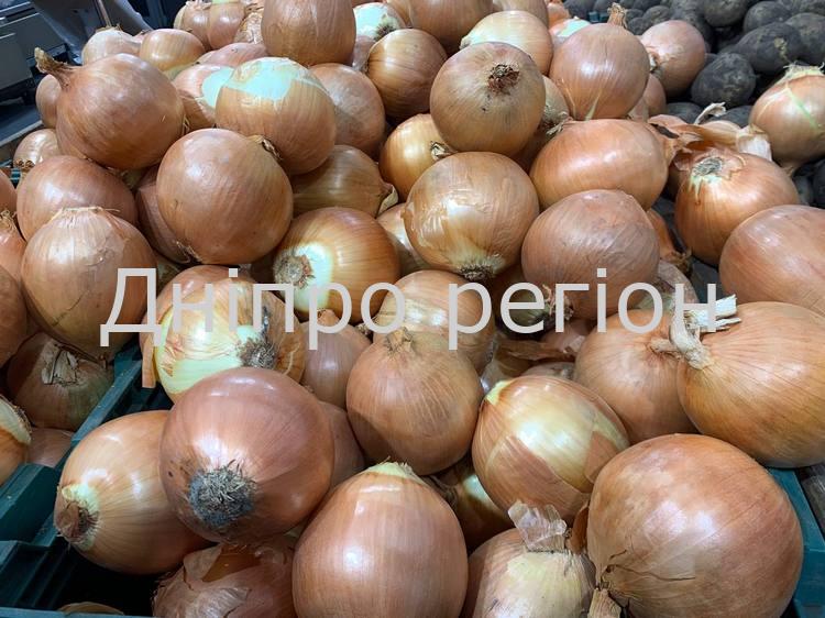 Одна – на півкіло: в супермаркетах Дніпра продають гігантську цибулю (Фото)