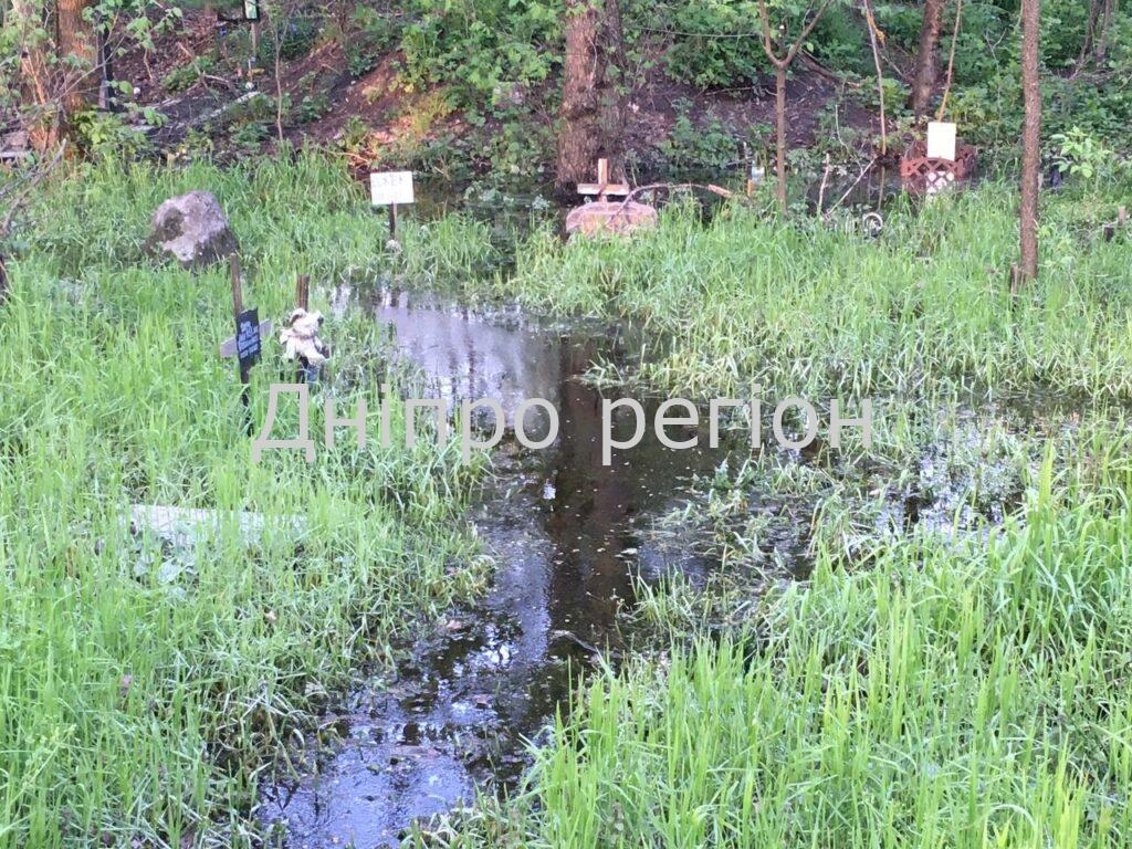 В Дніпрі на ж/м Червоний Камінь затопило найбільше у місті кладовище домашніх тварин (Фото) На ж/м Червоний Камінь затопило кладовище домашніх тварин - Дніпро Регіон