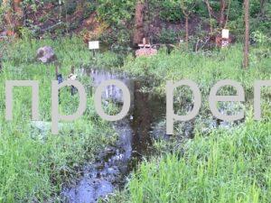 В Дніпрі на ж/м Червоний Камінь затопило найбільше у місті кладовище домашніх тварин (Фото)
