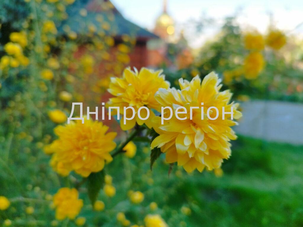 Свято 30 квітня: що не можна робити в День Святих Жінок – Мироносиць 8 травня - день святого Марка: прикмети та заборони дня