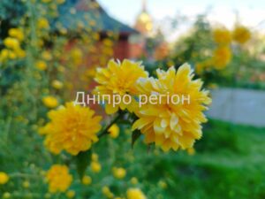 8 травня – день святого Марка: прикмети та заборони дня