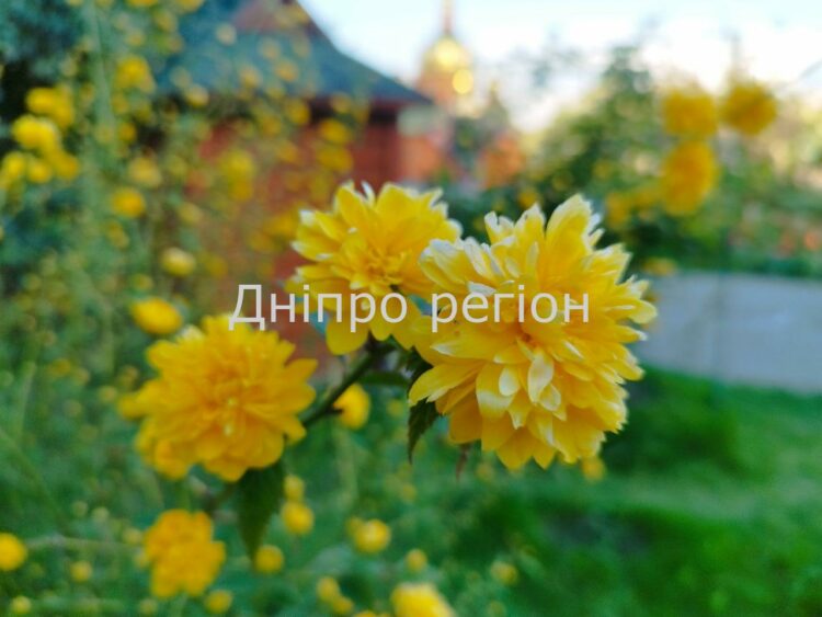 8 травня - день святого Марка: прикмети та заборони дня