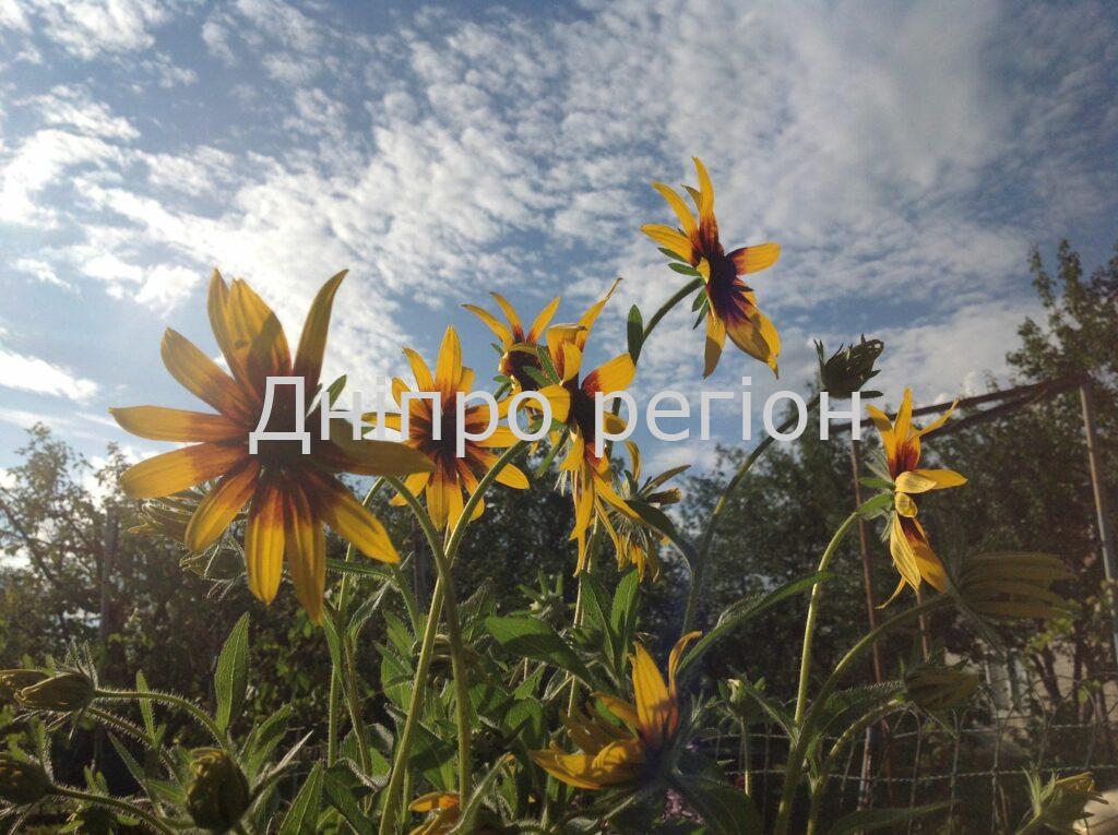 Гороскоп на тиждень 18-24 вересня: Близнюкам – романтика, Стрілець – не розпочинайте нових справ