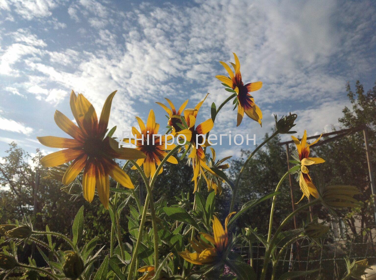 Гороскоп на тиждень 18-24 вересня: Близнюкам – романтика, Стрілець – не розпочинайте нових справ Гороскоп на тиждень 18-24 вересня: Близнюкам – романтика, Стрілець – не розпочинайте нових справ