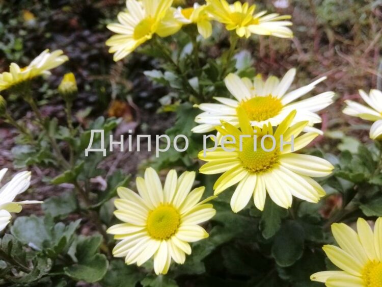 20 травня: яке церковне свято, що не можна робити 20 травня: яке церковне свято, що не можна робити