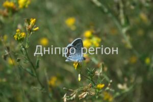 27 травня: день мученика Ісидора, день коли не можна сваритися з ближніми