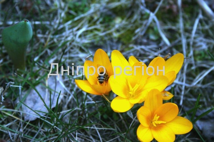 14 травня – Єреміїв день: прикмети, традиції та що категорично заборонено робити 14 травня – Єреміїв день: прикмети, традиції та що категорично заборонено робити