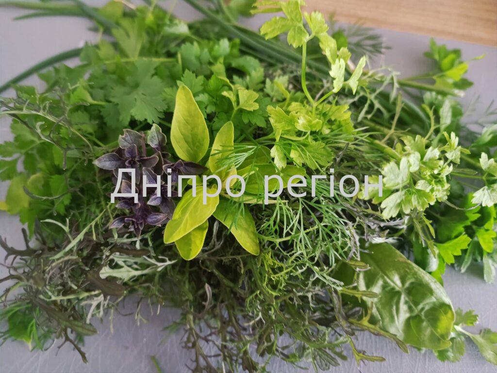 Аптечка на городі: ТОП пряних та корисних трав, які потрібно посадити на ділянці Аптечка на городі: ТОП пряних та корисних трав, які потрібно посадити на ділянці