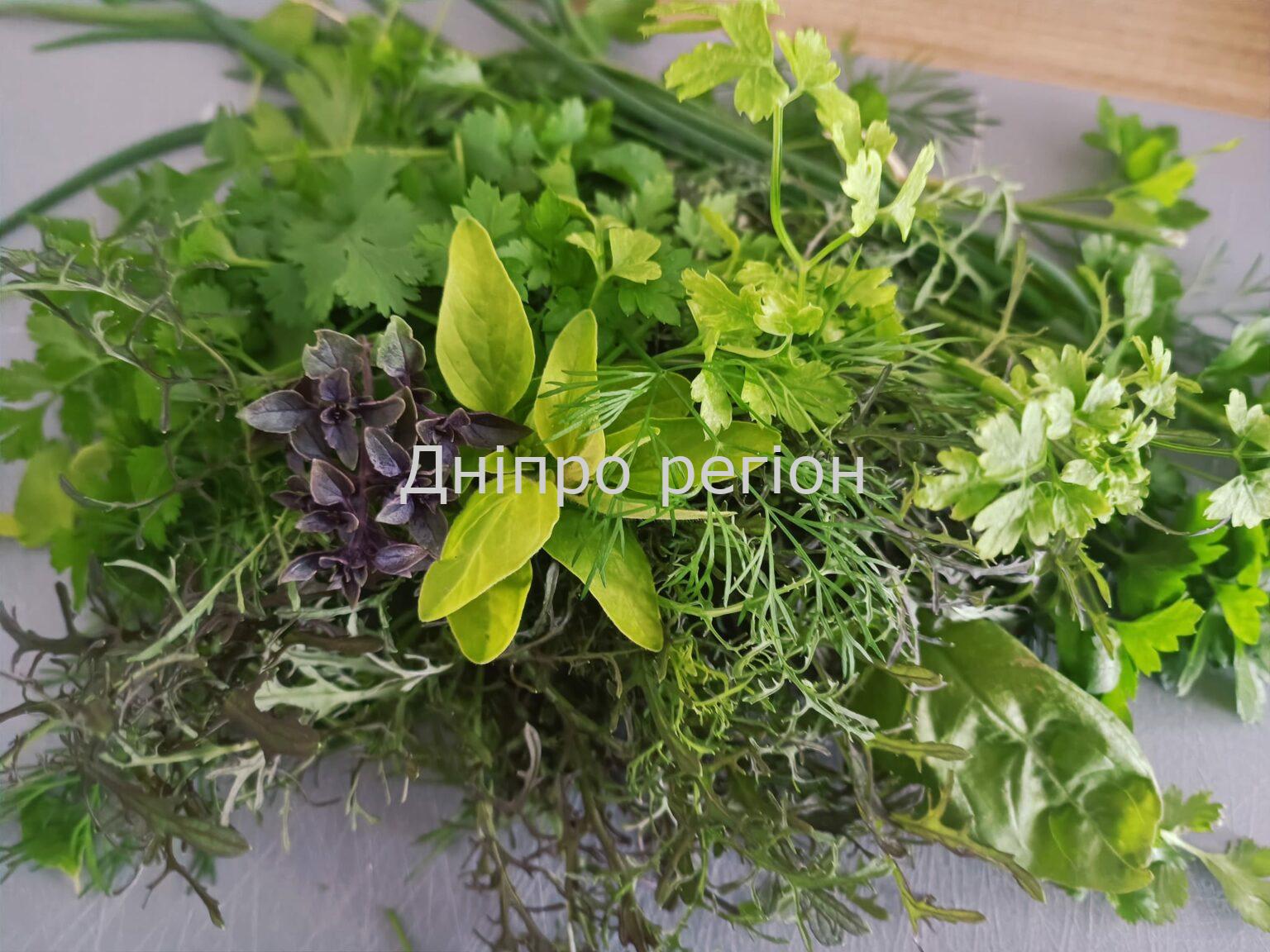 Аптечка на городі: ТОП пряних та корисних трав, які потрібно посадити на ділянці Аптечка на городі: ТОП пряних та корисних трав, які потрібно посадити на ділянці