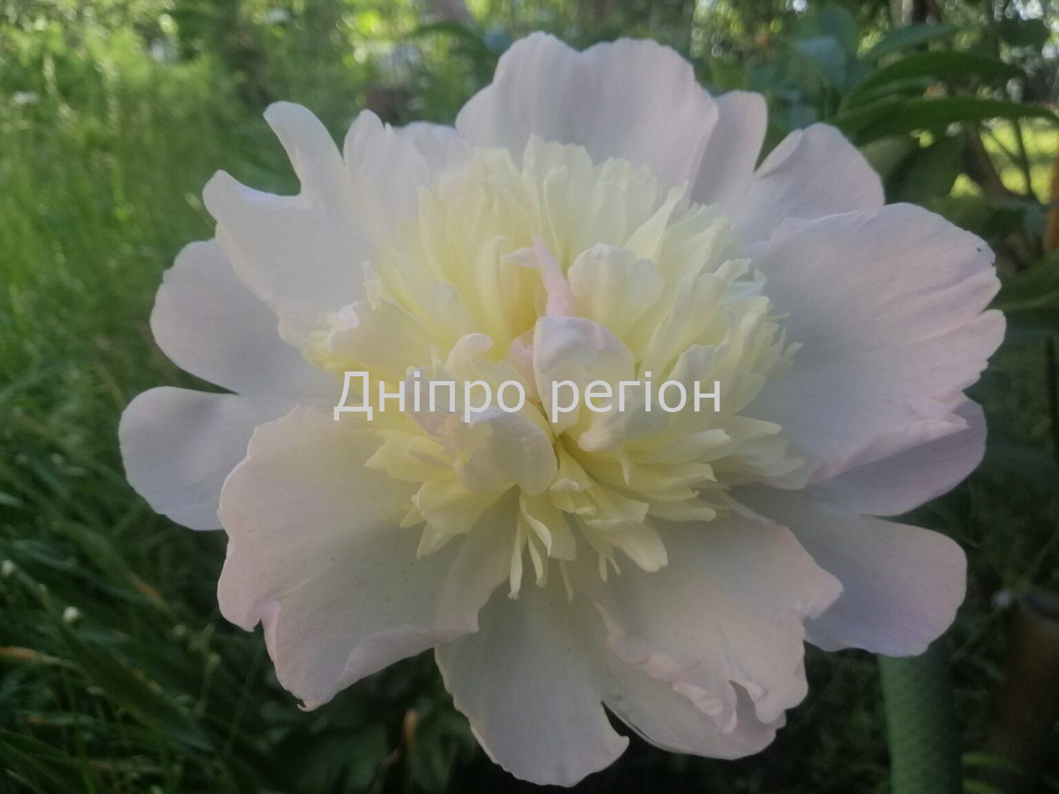 16 травня – день Феодосія Печерського: прикмети, традиції та що категорично заборонено робити 16 травня – день Феодосія Печерського: прикмети, традиції та що категорично заборонено робити