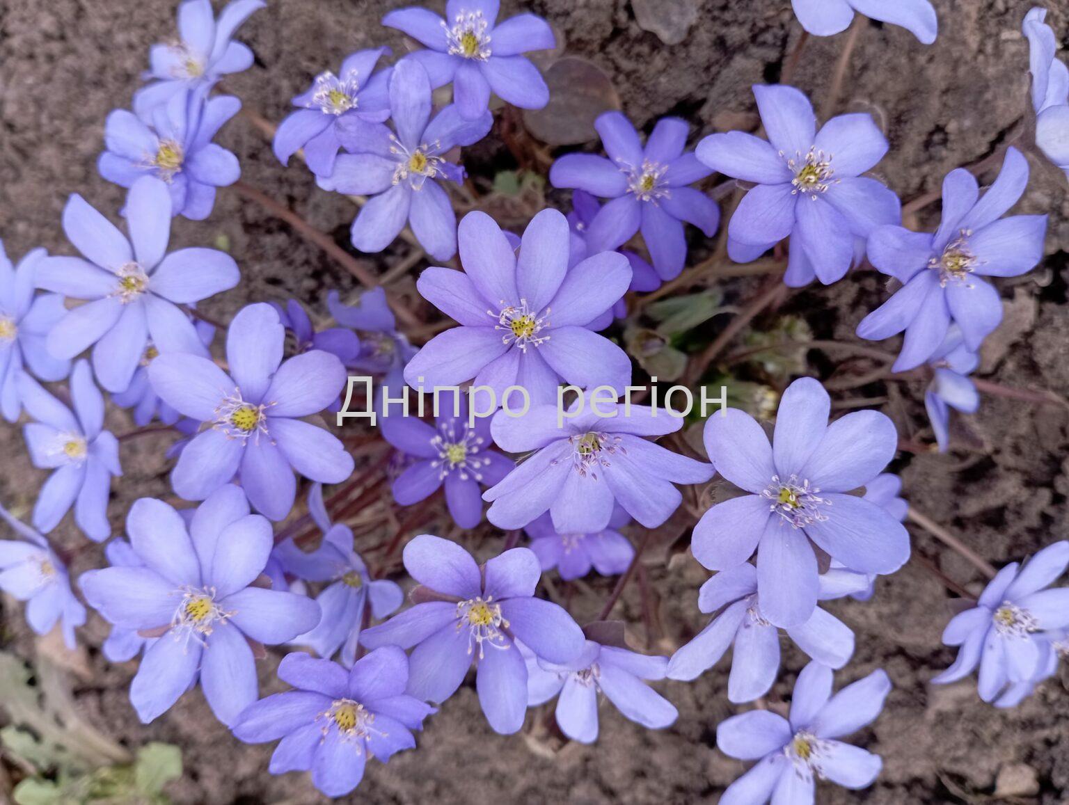 Яке свято 3 травня: прикмети, традиції та що заборонено робити Яке свято 3 травня: прикмети, традиції та що заборонено робити