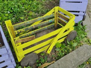 Накипіло: в Ботсаду ДНУ через вандалізм можуть відмінити робочі суботи