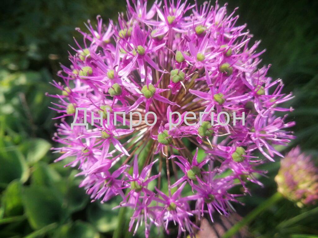 23 травня: не робіть необдуманих покупок, прикмети та що не можна робити в це день 23 травня: не робіть необдуманих покупок, прикмети та що не можна робити в це день