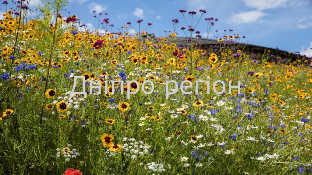 Посівний календар на червень 2023 на кожен день: сприятливі дні для посадок 26 серпня – день римських мучеників: прикмети та заборони дня