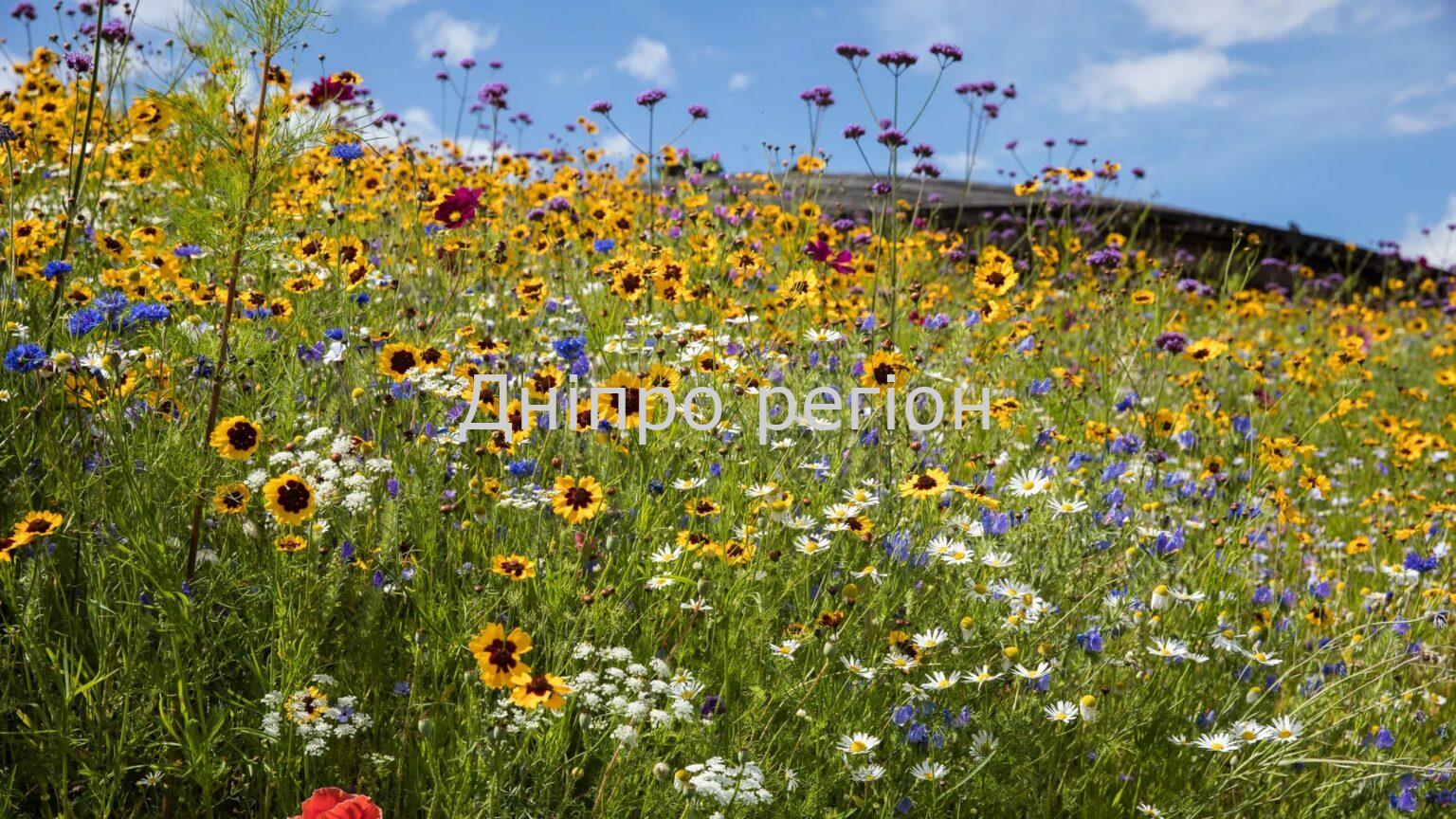 Посівний календар на червень 2023 на кожен день: сприятливі дні для посадок 26 серпня – день римських мучеників: прикмети та заборони дня