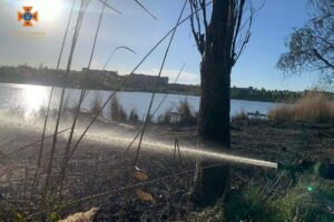 Хлопчики отримали сильні опіки: у Кривому Розі через пожежу біля водойми постраждали діти