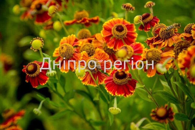 20 серпня – день пам’яті 22 угодників Божих: прикмети та заборони дня 20 серпня - день пам'яті 22 угодників Божих: прикмети та заборони дня