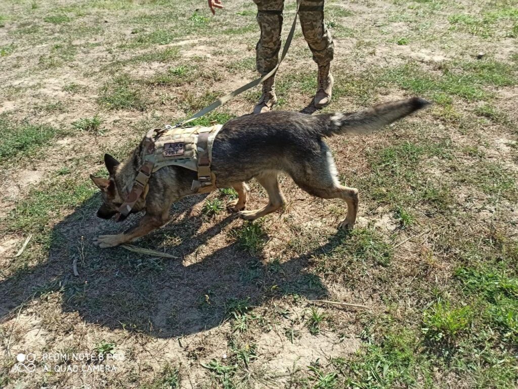 Чоловік задушив 43-річну знайому - Дніпро Регіон