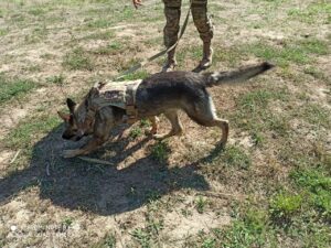Оголене тіло знайшли на вулиці: у Дніпрі чоловік задушив 43-річну знайому