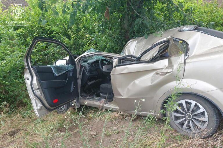 ДТП на Дніпропетровщині: авто вилетіло в кювет та зіткнулось з деревом