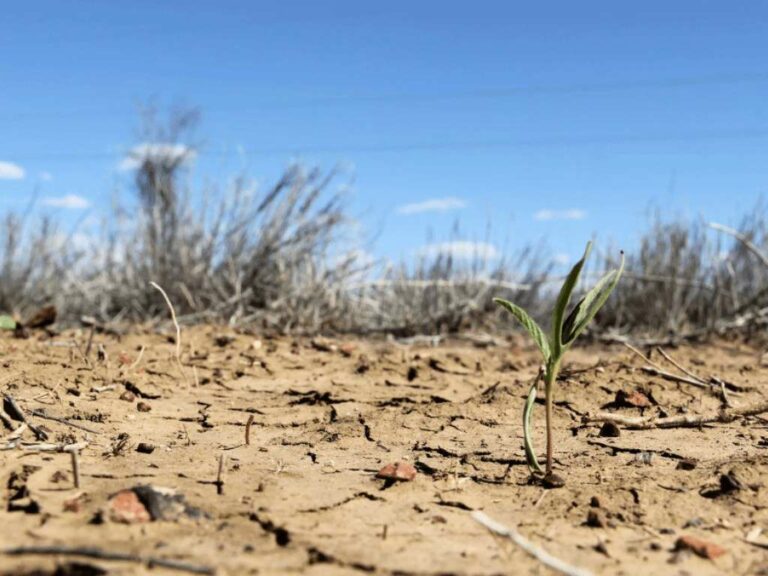 Вандали розбили коштовне обладнання з нового водогону - Дніпро Регіон