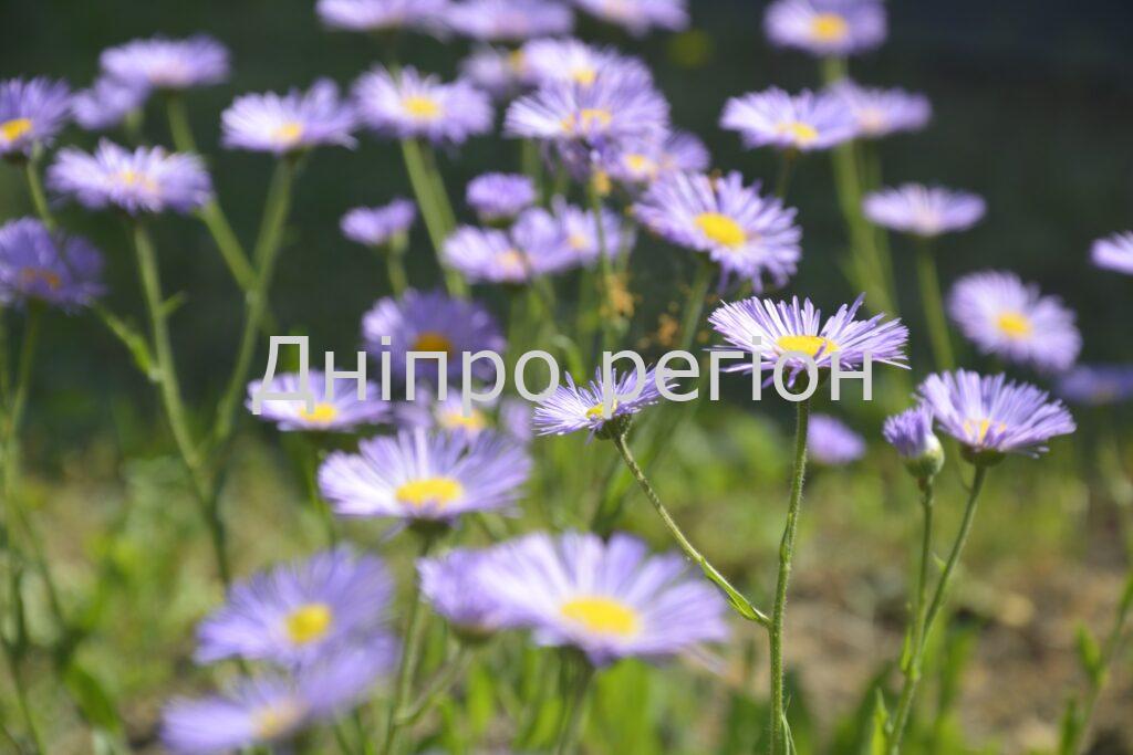 20 червня – день Феодота Анкірського: що не можна робити 20 червня - день Феодота Анкірського: що не можна робити