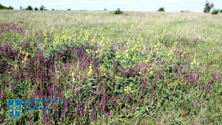 У власність держави повернули ландшафтний парк - Дніпро Регіон