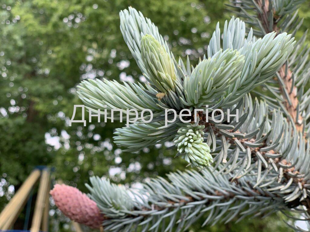 2 червня  – день Тимофія Грядочника: чому потрібно сьогодні перерахувати гроші 2 черная  – день Тимофія Грядочника: чому потрібно сьогодні перерахувати гроші