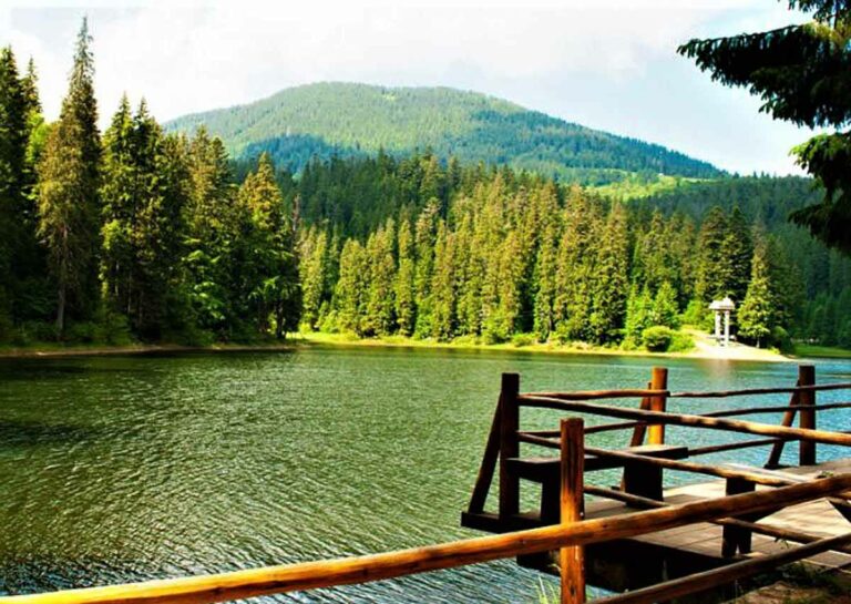 Відпочинок в Карпатах 2023: озеро Синевир - Дніпро Регіон